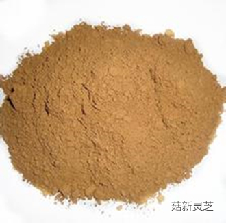 破壁靈芝孢子粉與靈芝粉混合 破壁靈芝孢子粉與靈芝粉混合