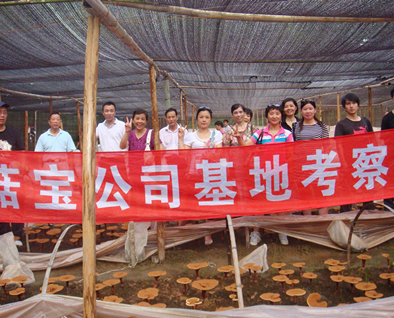 菇新靈芝基地考察團 菇新靈芝基地考察團