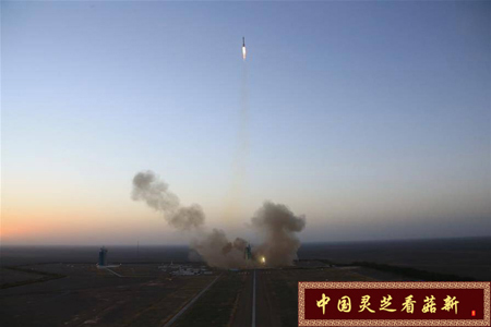 菇新破壁靈芝孢子粉資訊:神州十一號正式升空 菇新破壁靈芝孢子粉資訊:神州十一號正式升空