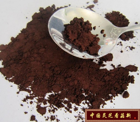 好的靈芝孢子粉的特征