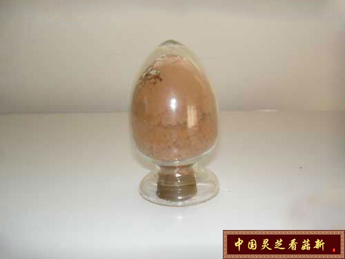 靈芝三萜是靈芝孢子粉的苦味來源