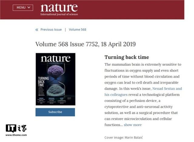 Nature封面重磅發布耶魯大學最新研究：豬大腦在死亡4小時后成功復活
