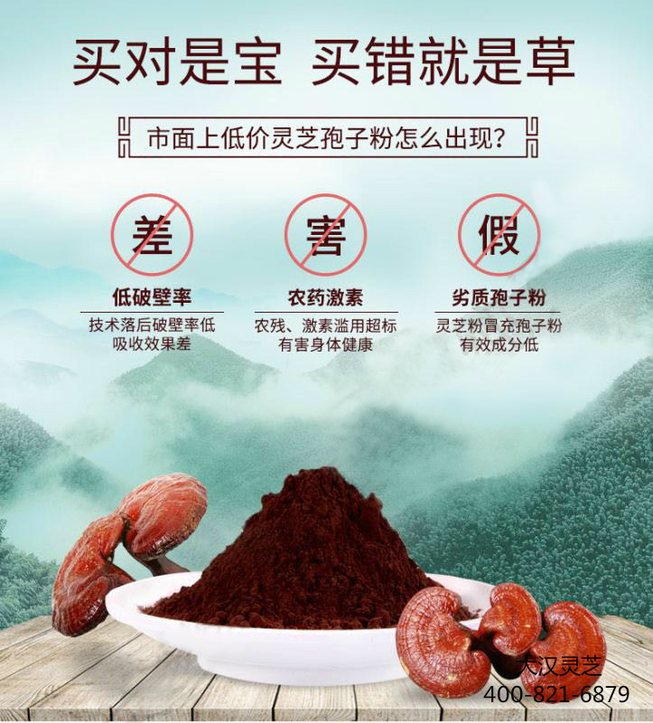 破壁靈芝孢子粉很苦可能是劣質產品