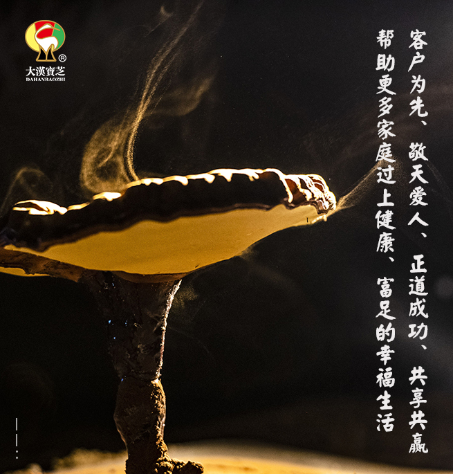 大漢靈芝 企業文化