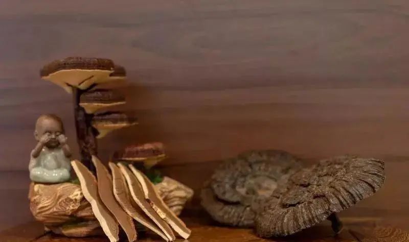 靈芝增免疫 靈芝增免疫