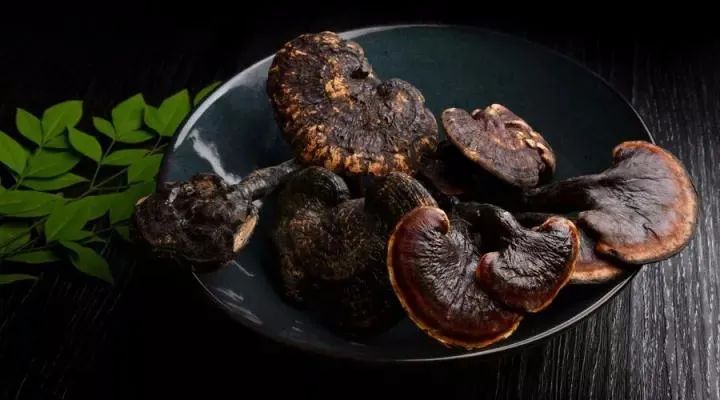 靈芝的吃法簡介 靈芝的吃法簡介